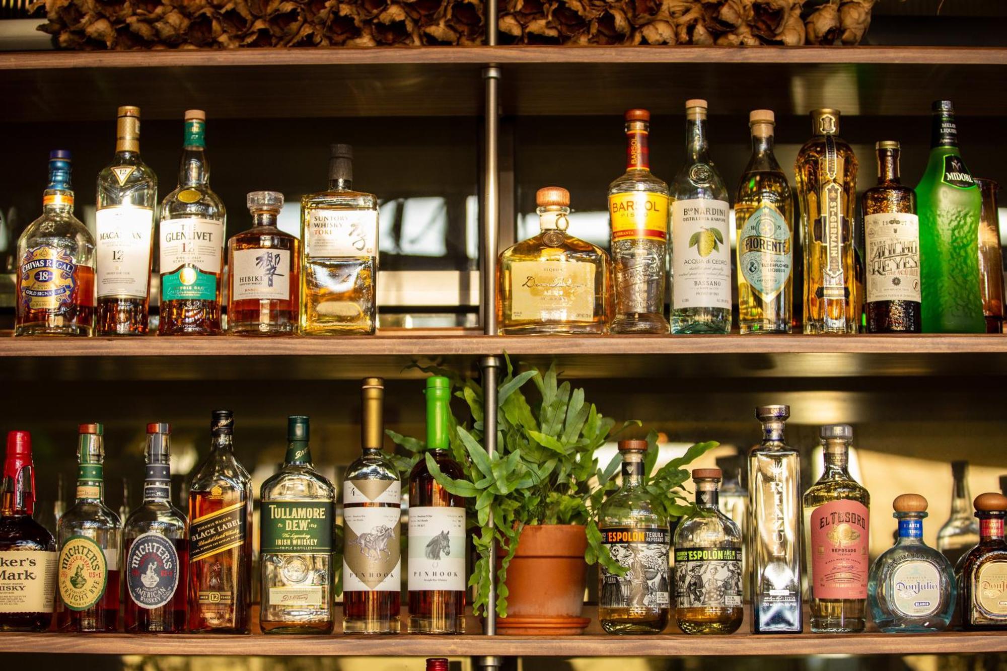 布莱克酒店 纽黑文 外观 照片